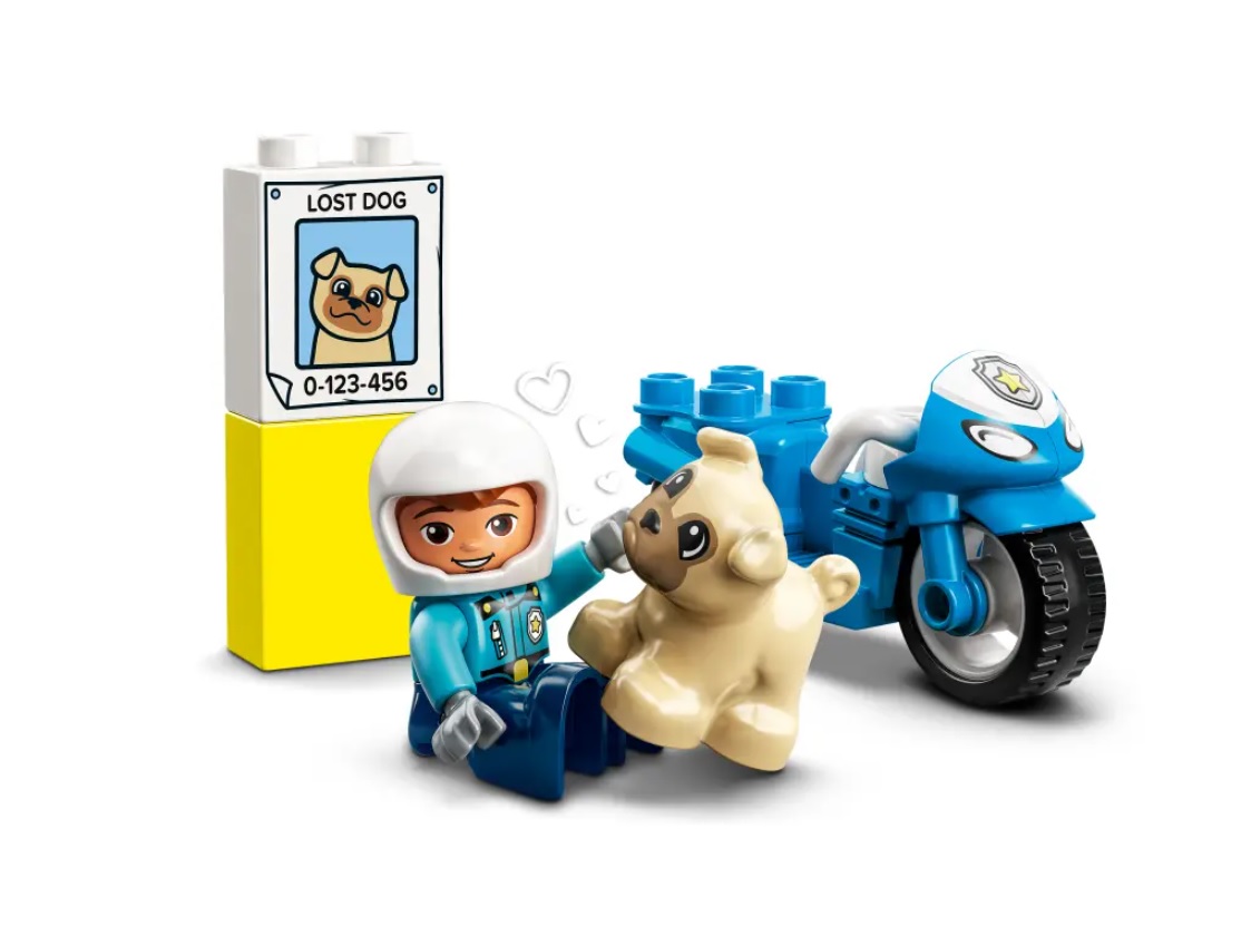 duplo policja